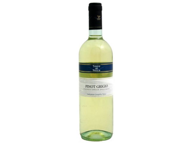 potlood sokken Gezichtsveld Witte wijn Terre del Noce Pinot Grigio 2020